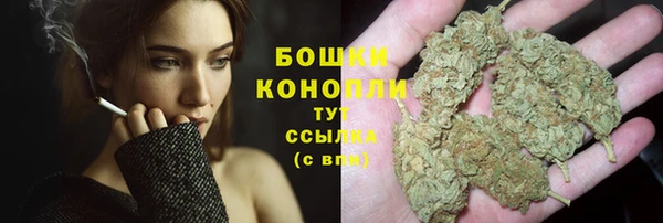 соль ск Липки
