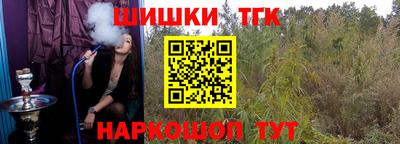 СК Дубна