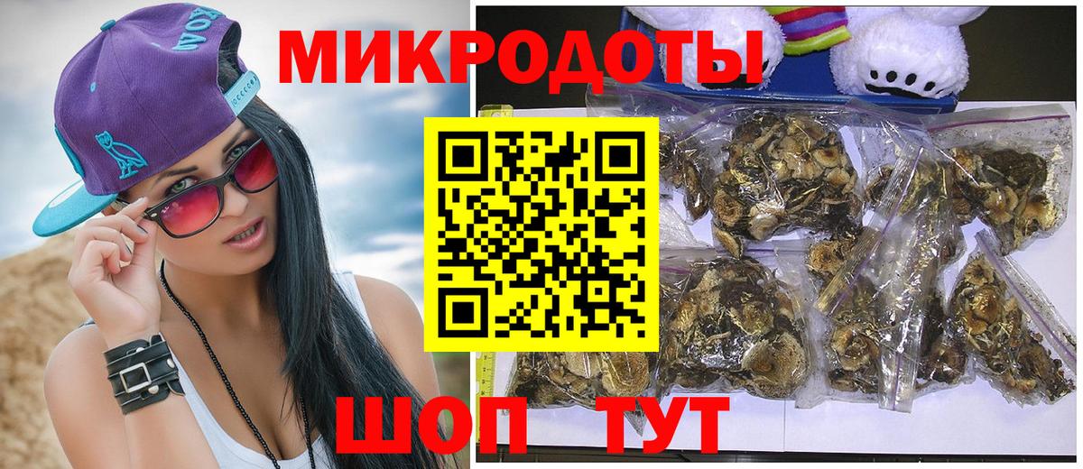 Галлюциногенные грибы Psilocybe Усть-Илимск