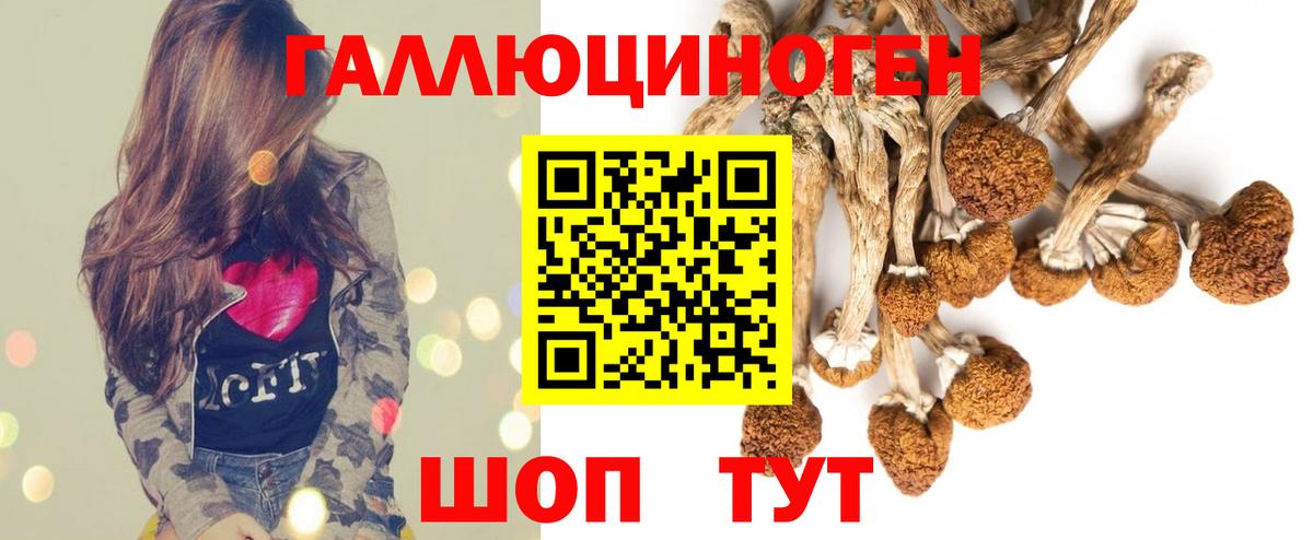 Галлюциногенные грибы Psilocybe  Псилоцибиновые грибы GOLDEN TEACHER  Вход с VPN  Усть-Илимск 