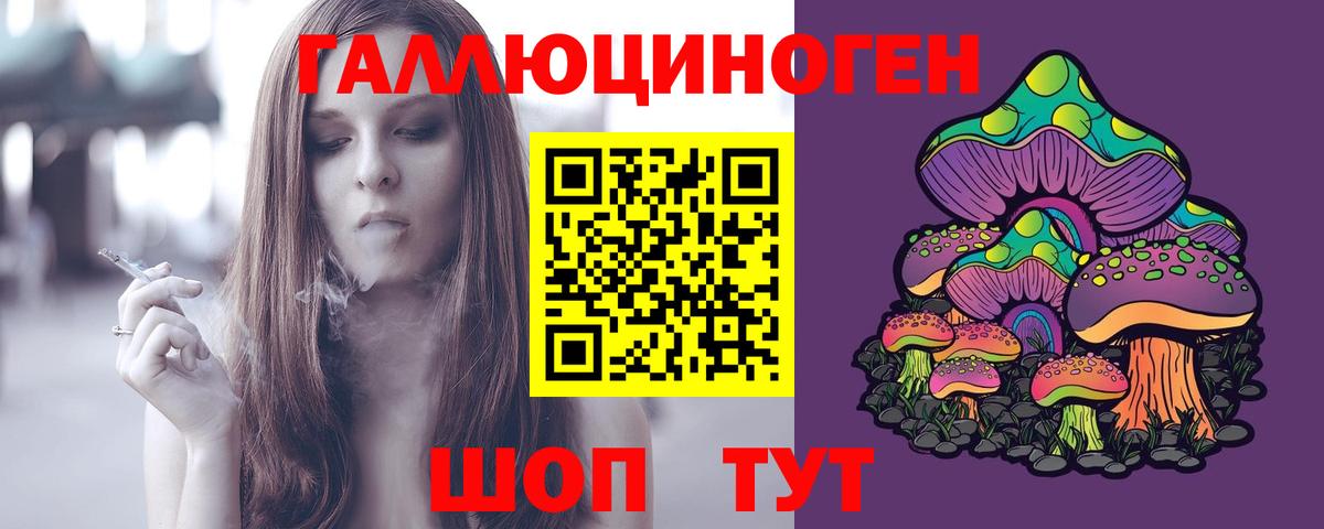 Псилоцибиновые грибы Psilocybine cubensis  Усть-Илимск 