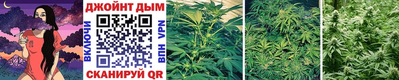 это наркотические препараты  Усть-Илимск  Каннабис Ganja 